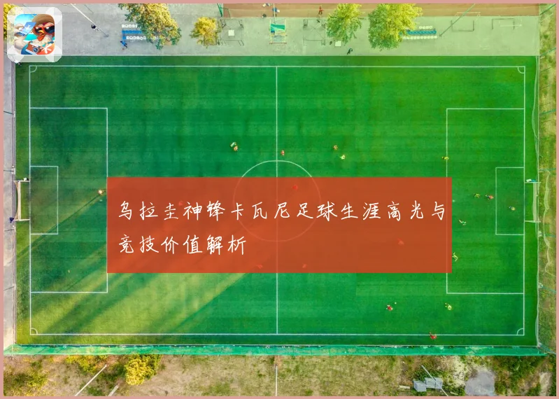 乌拉圭神锋卡瓦尼足球生涯高光与竞技价值解析